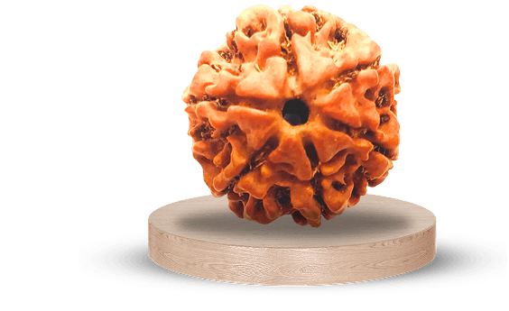 Our Most Loved Products