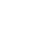 Shree Yantra International