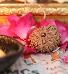 Individually Tested and Quality-Checked