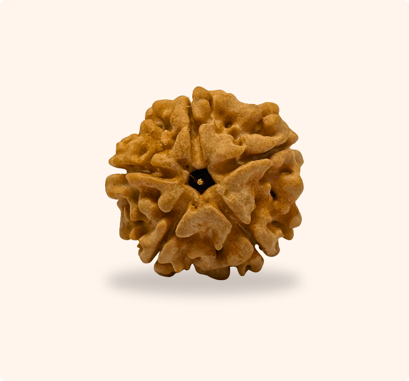 Zoomable Product Image