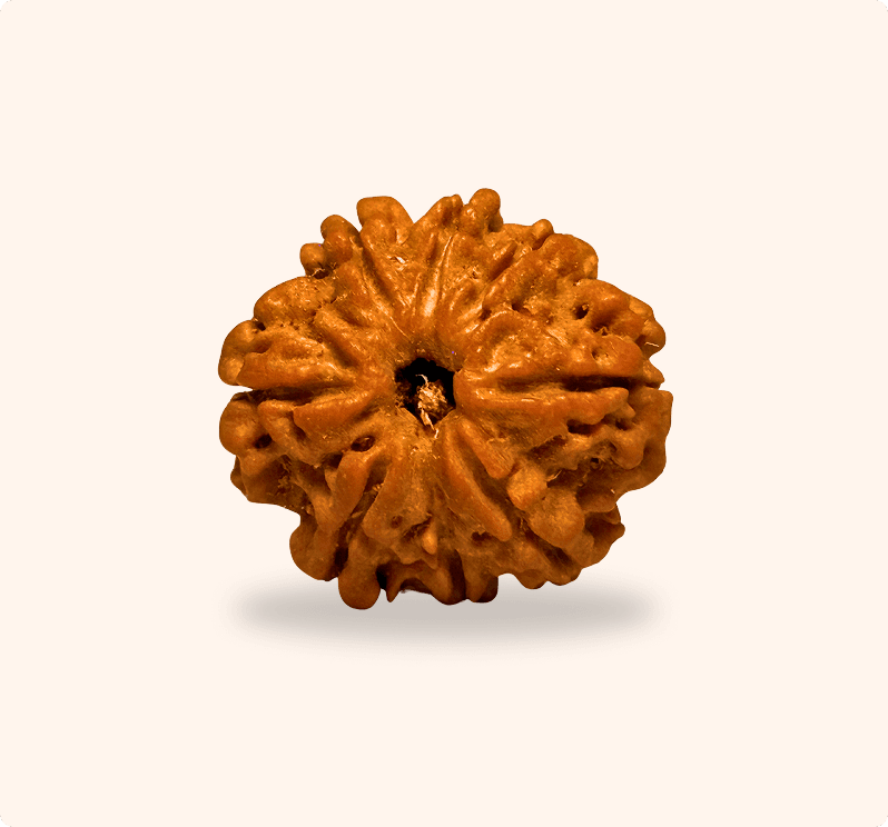 Zoomable Product Image