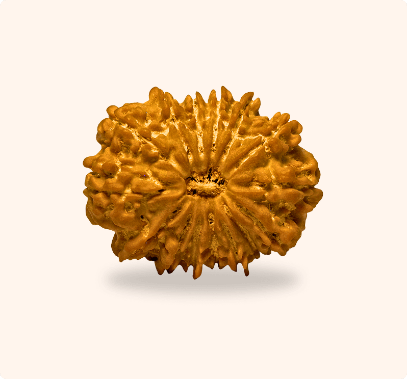 Zoomable Product Image