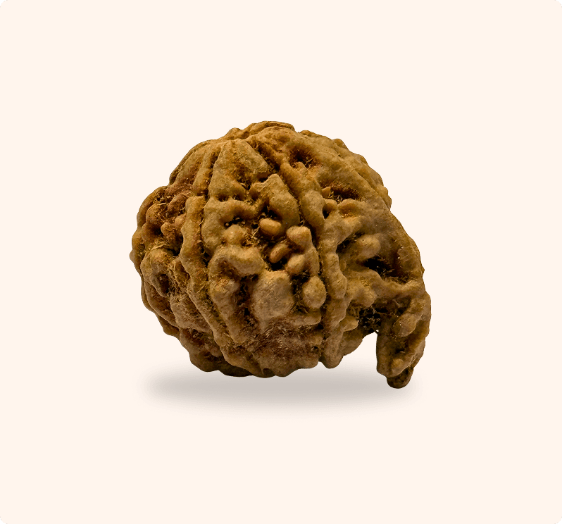 Zoomable Product Image