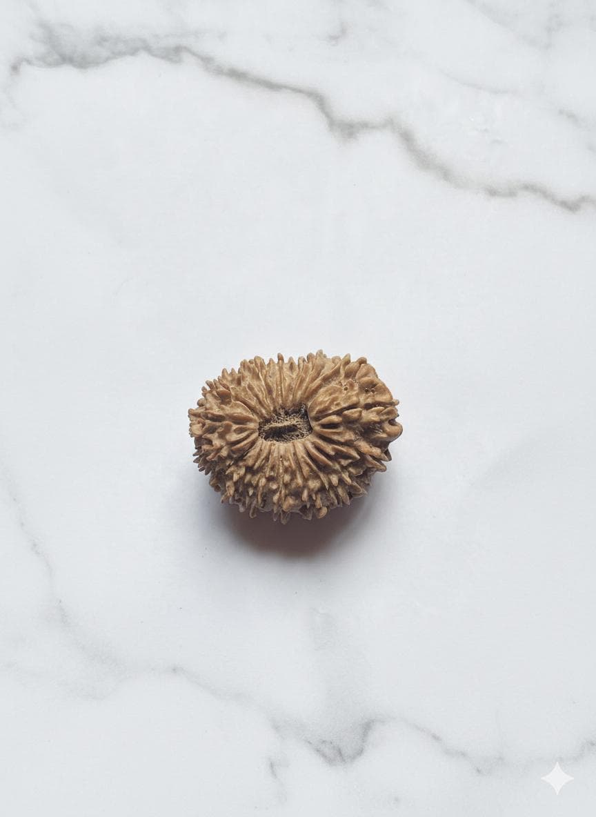 Basic Siddha Mala Medium