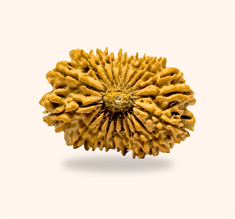 Zoomable Product Image